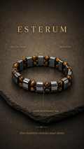 Bracelet Double Rang Œil de Tigre & Hématite